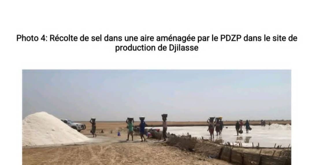Récolte de sel dans le site de production de Djilasse